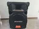 山水（SANSUI）户外k歌专用拉杆音响广场舞智能音箱专业设备移动便携式蓝牙播放器SS6-12电木吉他民谣乐器音箱 实拍图