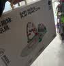 babycare婴儿健身架脚踏钢琴0-1岁新生儿见面礼物宝宝安抚玩具奥尼克狮子 实拍图