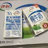 伊利纯牛奶250ml*24盒 优质乳蛋白早餐奶 4月产 实拍图