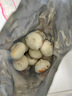 悦味纪 【199-100】小笼包菜团子鸡蛋灌饼春饼卷饼卡通包手抓饼早餐速食 嵊州老面豆干笋丁小笼包800g*1袋 实拍图