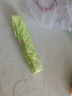 【京东物流】电动车通勤配送特大号加厚清洁袋电动车配件 抽绳垃圾袋 1卷 实拍图