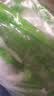 巨奇（JUQI）除湿袋10袋100g防潮干燥剂除湿防霉衣柜除湿剂宿舍室内回南天神器 实拍图