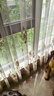jollybaby小鸟飞飞安抚毛绒玩具婴幼儿推车挂件毛绒车载玩具床铃-鹦鹉 实拍图