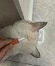 普安特宠物猫咪驱虫药体内外同驱幼猫驱虫跳蚤犬虱爱滴克非泼罗尼+内驱 实拍图
