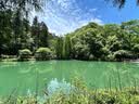 大嘴猴（paul frank）人字拖男士夏季软底沙滩鞋女士夹趾室内居家凉拖鞋 黑色 40-41  实拍图