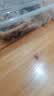 【热销百万单】正宗咸鸭蛋50g/枚饱满流油生鲜超市早餐新鲜即食 6枚 实拍图