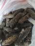 赵家淡干海参500g40-60只1斤装中秋礼盒 红岛底播刺参海产干货送礼品 实拍图