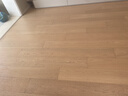 鲨客蒸汽拖把家用厨房蒸汽清洁机拖地洗地机助手 高温蒸汽除菌电动手持洗地机吸尘器伴侣 P39lite标准版 实拍图
