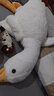 熊猫熊大白鹅玩偶抱枕睡觉毛绒玩具布娃娃夹腿长条公仔女孩生日礼物女生 实拍图