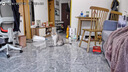 小佩3.0滤芯-5片装 宠物饮水机滤芯猫碗宠物用品 实拍图