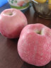 苹之都 烟台苹果水果红富士苹果新鲜脆甜整箱应季生鲜果山东特产平果 红富士5斤 90# 实拍图