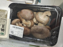 带根鲜香菇约300g 实拍图