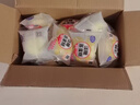 港荣蒸蛋糕面包无蔗糖480g早餐小蛋糕零食糕点甜品代餐下午茶独立包装 实拍图
