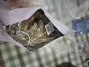 南同四海京仁堂猴头菇丁香茶搭健脾养胃茶护修复胃黏膜慢性萎缩胃炎暖胃茶 实拍图