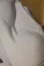 FitonTon2件装女士内衣女无痕提拉聚拢无钢圈文胸罩运动美背内衣夏季薄款 实拍图