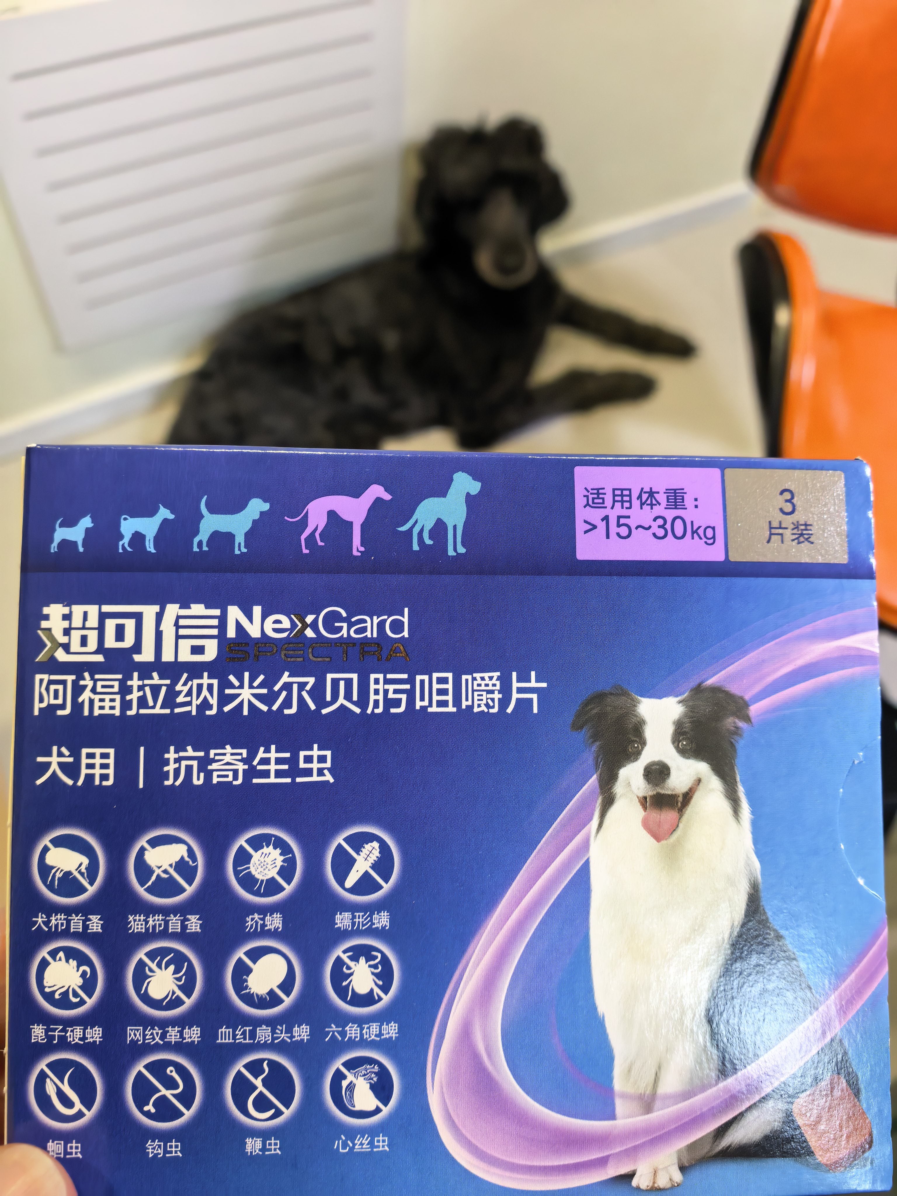 超可信宠物驱虫药体内外一体二合一泰迪柯基幼犬狗狗体内体外同驱 超可信L 1粒*1袋 【15-30kg拆售】 实拍图
