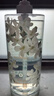 小熊（Bear）家用冷水壶高硼硅玻璃杯防烫硅胶底1.8L大容量凉水壶杯子CX-JB071 实拍图