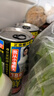 椰树牌正宗椰子汁 六连罐245ml*6罐/组 植物蛋白饮料 节 实拍图