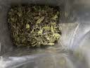 中茶蝴蝶茶叶白茶白牡丹福鼎白茶散茶白茶箱装1000g伴手礼 实拍图