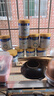 美素佳儿（Friso）皇家幼儿配方奶粉 3段（1-3岁幼儿适用）800g 乳铁蛋白 (新国标) 实拍图