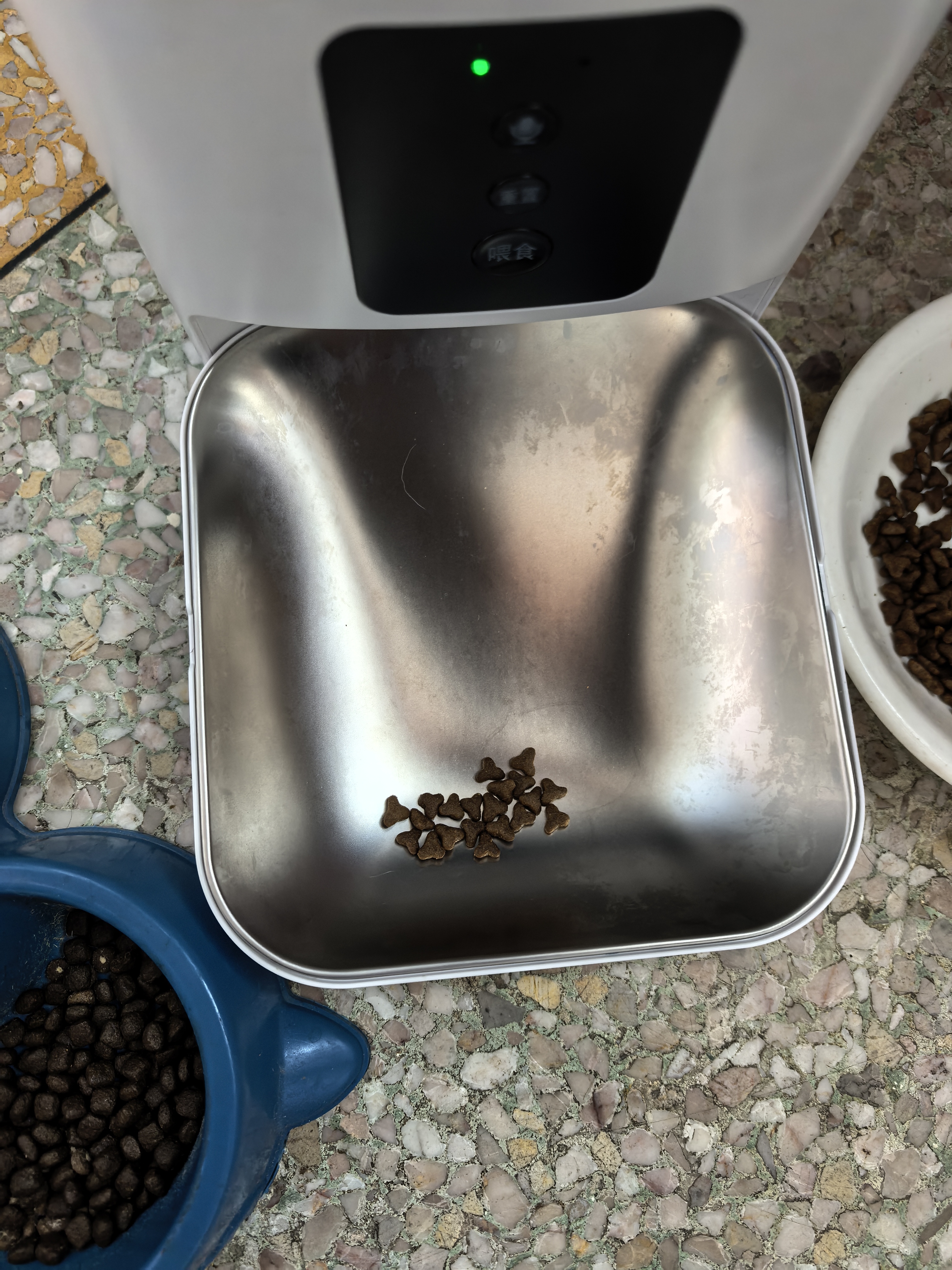 狼孩儿幼猫成猫猫粮深海鱼三文鱼全猫期布偶蓝猫英短猫咪全价粮 海洋鱼猫粮5kg(10斤) 实拍图