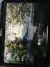 Apple/苹果 iPad Air 11英寸 M4芯片 2026年新款 平板电脑(256G WLAN版)紫色 实拍图