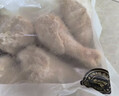 正大琵琶腿3斤 鸡腿鸡肉鸡腿肉生鲜早餐鸡肉 实拍图