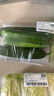 【水果菜】荷兰水果黄瓜约400g 实拍图