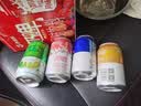 西域春奶啤300ml*12/8/6罐整箱多规格乳酸菌发酵奶啤饮品网红酸牛奶 6口味*各2罐【12罐组合】 实拍图