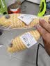 欢宠网猫玩具猫咪逗猫棒猫薄荷磨牙棒自嗨解闷神器磨牙猫猫小猫幼猫宠物 实拍图
