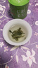 七春2026绿茶信阳毛尖新茶河南特产小罐装冷泡茶品鉴茶叶30g 实拍图
