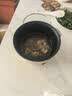 目无全牛原切草原真四肋黄膘牛排骨 净重2斤 肋排炖煮烧烤冷冻牛肉 实拍图