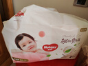 好奇（Huggies）铂金装小桃裤成长裤XXL74片(15kg以上)尿不湿【夏季散热王】 实拍图
