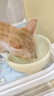 网易严选全价猫粮4.0 猫主粮成幼猫低敏无谷驼羊奶促吸收 鸡肉羊奶味1.5kg 实拍图