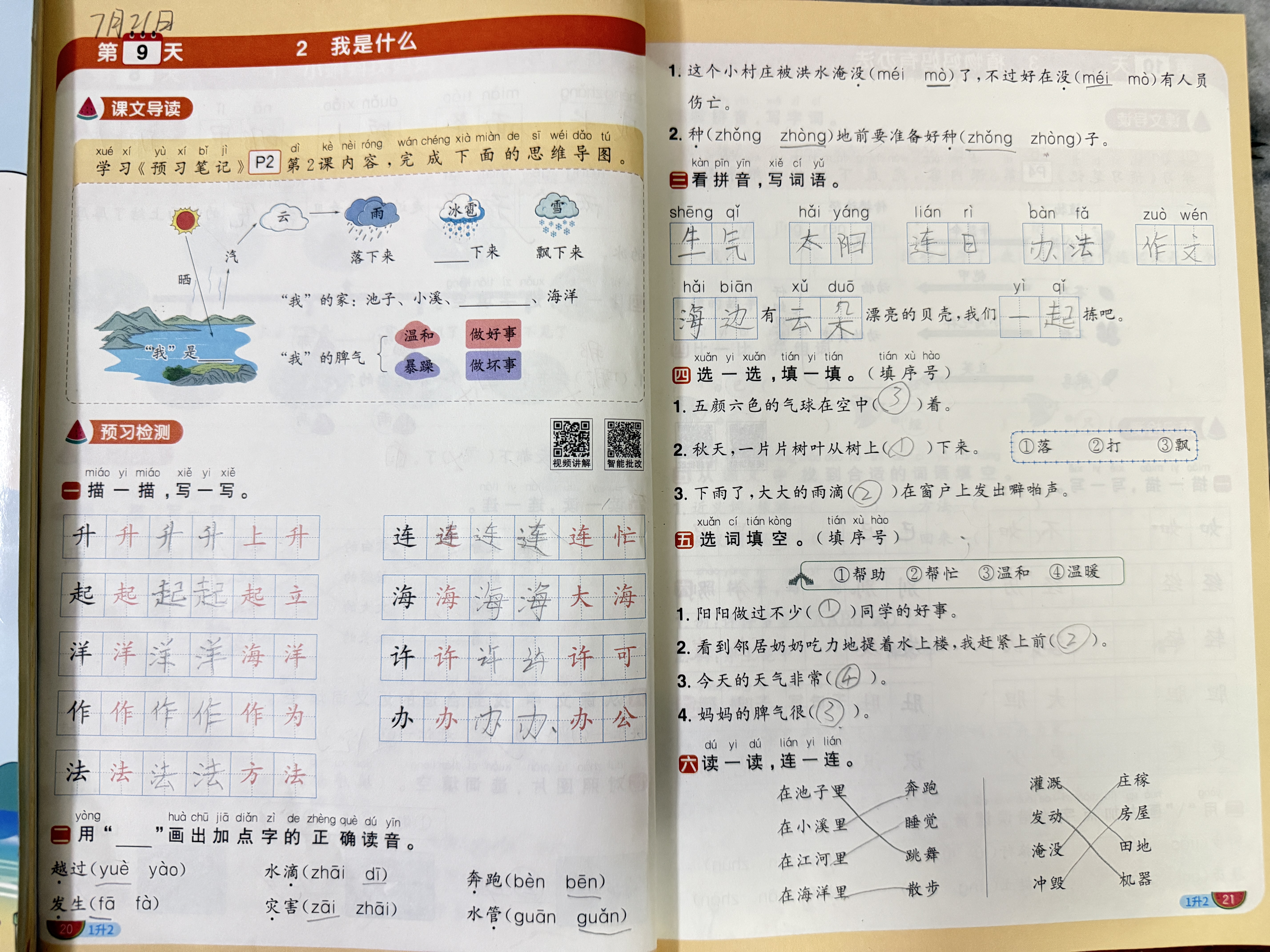 【送预习笔记】阳光同学 2026秋新版 暑假衔接 一年级升二年级 语文人教版+数学北师大版（全套2册）预备二年级小学暑假作业预复习同步训练练习册一本通 开学季 实拍图