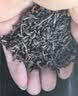 班章醇茶叶普洱茶熟茶十年以上冰岛古树茶紫芽熟普洱云南散茶教师节礼物 实拍图