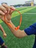 韶音（SHOKZ）【七夕礼物】OpenRunPro2 S820骨传导耳机无线开放式蓝牙耳机主动降噪防尘抗汗跑步运动耳机长续航 熔岩橙-京仓 快至当/次日达 实拍图