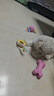 HELLOJOY狗狗玩具球小狗磨牙棒骨头耐咬狗咬胶小型犬宠物用品幼犬自嗨解闷 实拍图
