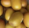 佳沛（zespri）新西兰 阳光金果25-27粒原箱特大果单果124-146g 猕猴桃水果礼盒 实拍图