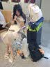 纽芝兰（NUCELLE）Angelababy同款双肩包2026背包大学生书包飞马女士包毕业生日礼物 实拍图