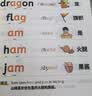 斗半匠 自然拼读记单词一本通 小学英语语法句式一本通单词汇总音标记单词 英语单词趣味记背神器（5本） 实拍图