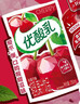 伊利【时代少年团同款】优酸乳车厘子味250ml*24盒 乳饮料牛奶饮品 实拍图