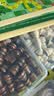 DEERC儿童玩具多功能棋盘3-6岁多合一磁吸五子围棋7-14岁男孩生日礼物 超大号十二合一【38*38cm】强磁吸+收纳盒+礼盒礼袋 2026火的儿童玩具围象棋国际飞行军棋斗兽桌游6-10 晒单实拍图