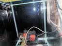 博特鱼缸变频水泵24v低压循环潜水泵降噪大流量底吸泵过滤抽水泵 TS-2000【低压24V】10档调节 实拍图