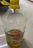 鲁花 【保真菜籽油】食用油 低芥酸特香菜籽油 6.18L   物理压榨 实拍图