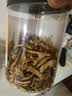 半山农 三七花茶 田七花四年花云南文山新花苞大无碎300g养生泡水送老人 实拍图
