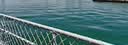 小小玉纯鞣酸抑菌软膏乳膏宝宝红屁屁股专用护臀膏婴儿屁屁霜护理软膏20g 实拍图