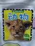 动物 宝宝认知全书0-3岁宝宝撕不烂启蒙认知卡片翻翻看益智绘本识物卡片书中英双语学前读物不怕撕的宝宝书 早教启蒙 实拍图