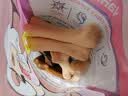 亚禾狗狗磨牙棒狗咬胶洁齿骨中小型犬专用零食 长约8CM 230g*10袋 实拍图