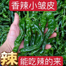 绿联【无黑边不挡屏】适用苹果17钢化膜iPhone17手机膜16Pro通用无边高清全屏防摔防爆保护膜 2片装 实拍图